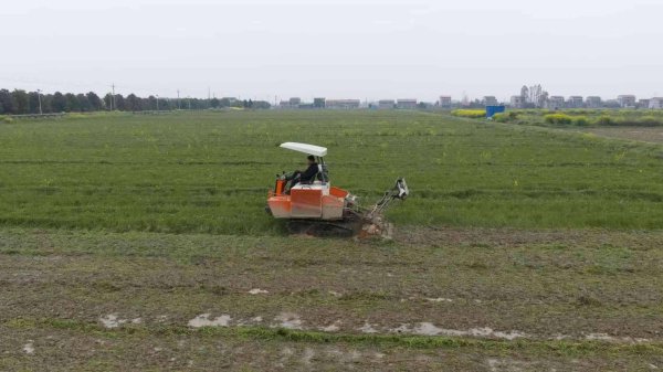 湖南湘阴：全力跑好春耕生产“第一棒”