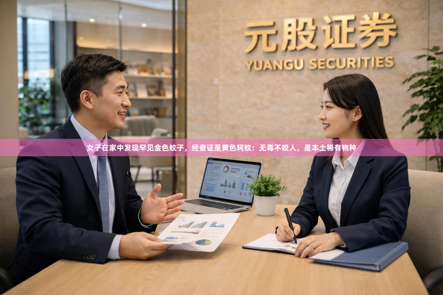 女子在家中发现罕见金色蚊子，经查证是黄色轲蚊：无毒不咬人，是本土稀有物种
