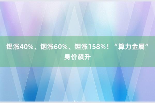 锡涨40%、铟涨60%、钽涨158%！“算力金属”身价飙升