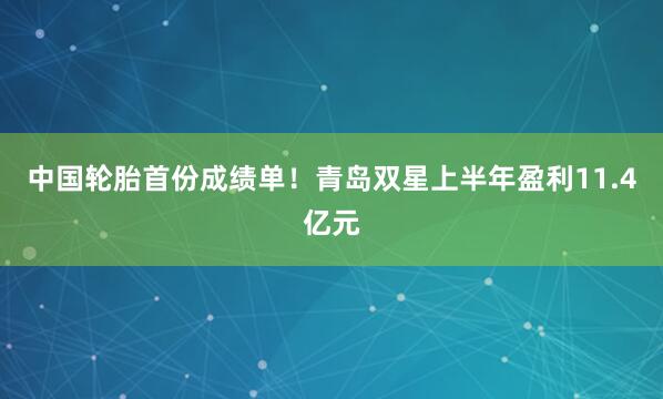 中国轮胎首份成绩单！青岛双星上半年盈利11.4亿元