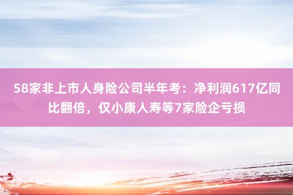 58家非上市人身险公司半年考：净利润617亿同比翻倍，仅小康人寿等7家险企亏损