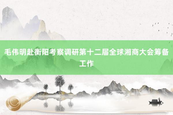 毛伟明赴衡阳考察调研第十二届全球湘商大会筹备工作