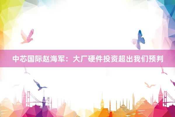 中芯国际赵海军：大厂硬件投资超出我们预判