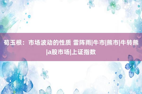 荀玉根：市场波动的性质 雷阵雨|牛市|熊市|牛转熊|a股市场|上证指数