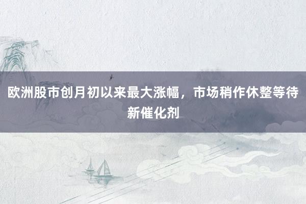 欧洲股市创月初以来最大涨幅，市场稍作休整等待新催化剂