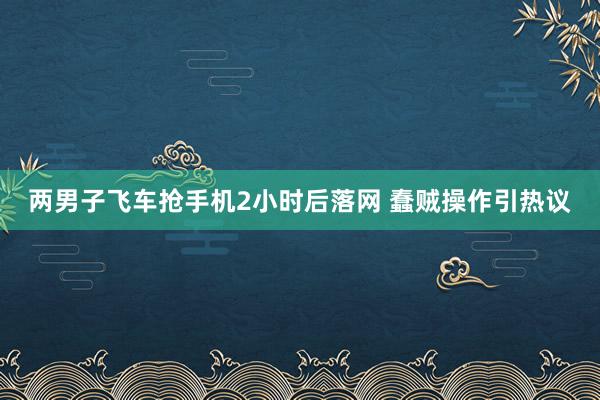 两男子飞车抢手机2小时后落网 蠢贼操作引热议