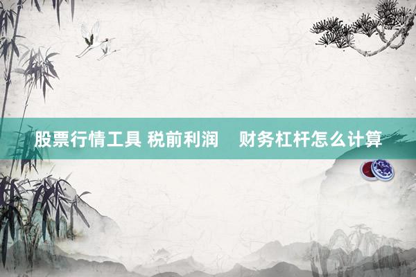 股票行情工具 税前利润    财务杠杆怎么计算