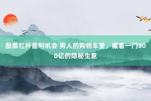 股票杠杆盈利机会 男人的购物车里，藏着一门300亿的隐秘生意