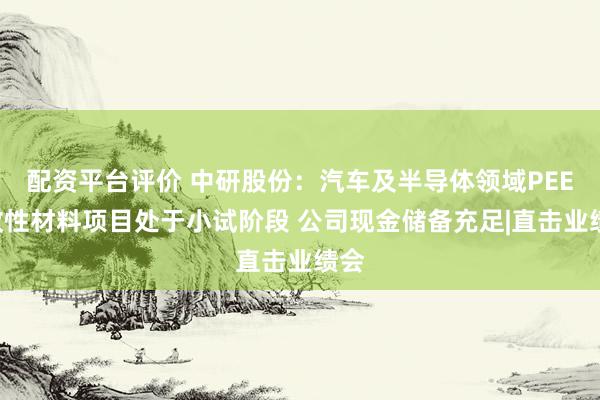 配资平台评价 中研股份:汽车及半导体领域PEEK改性材料项目处于小试阶段 公司现金储备充足|直击业绩会