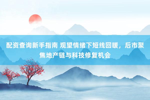 配资查询新手指南 观望情绪下短线回暖，后市聚焦地产链与科技修复机会
